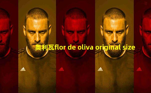 奥利瓦flor de oliva original size